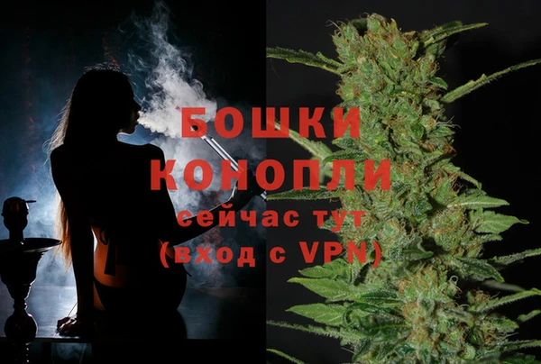 дмт Пересвет