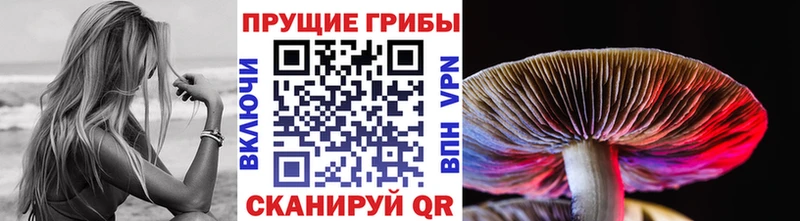 гидра как войти  Лосино-Петровский  Галлюциногенные грибы ЛСД 